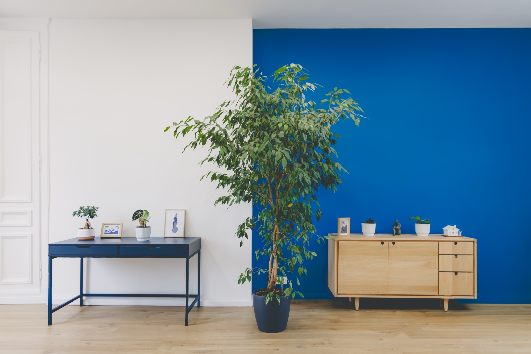 Bureau et mur bleu d’un cabinet d’avocats, Lille